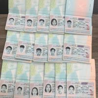 Các bạn TTS được cấp Visa