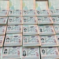 cấp visa tháng 10.2023